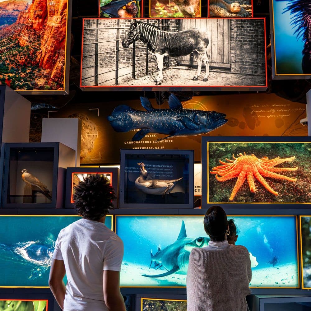 Edelman Fossil Park & Museum in Mantua, NJ