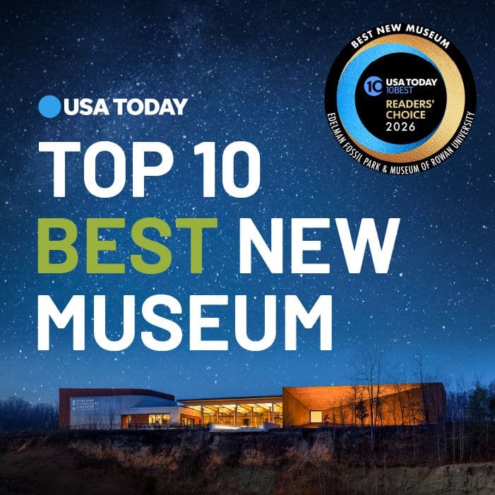 top 10 best new museum