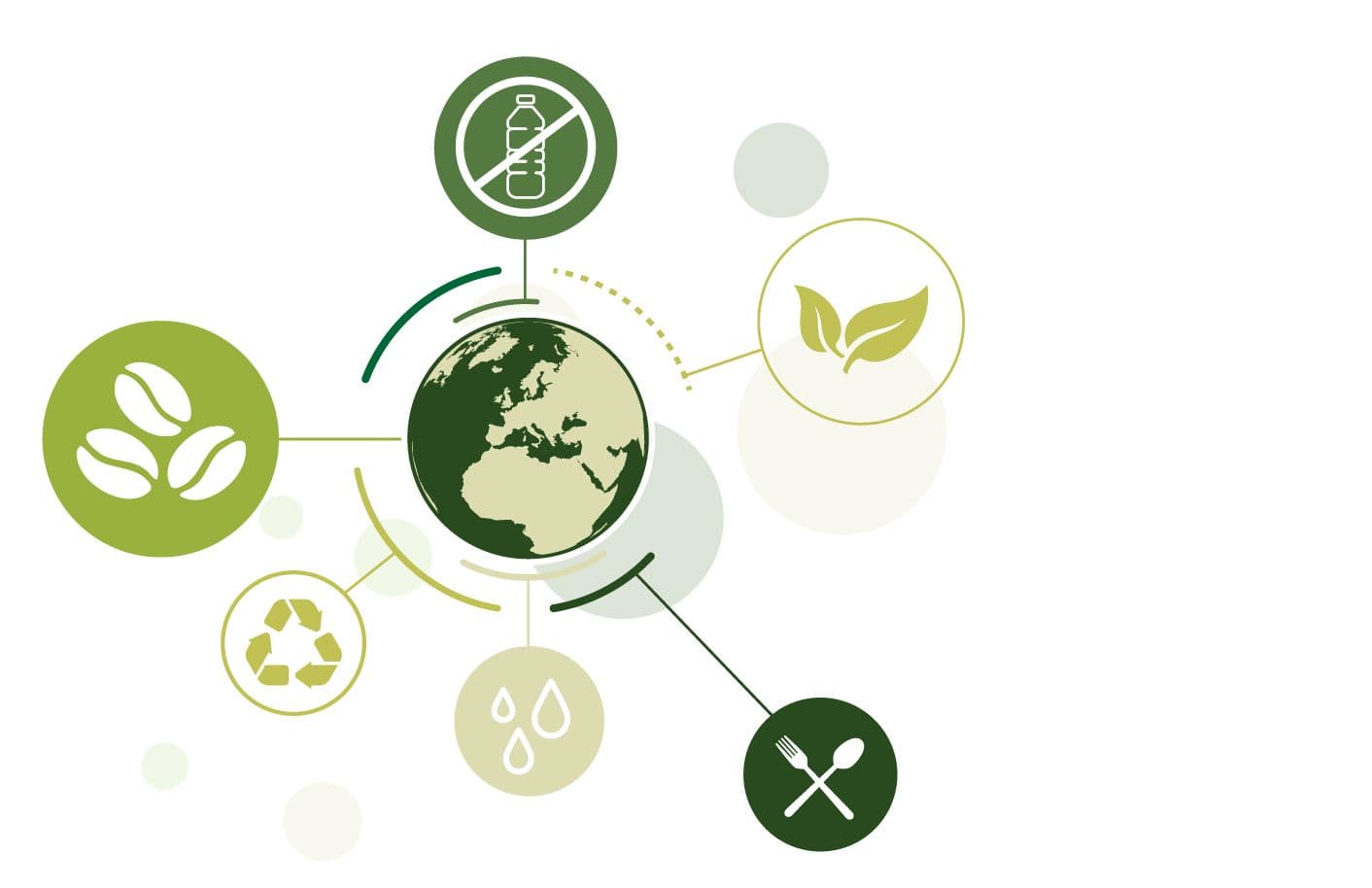 darwin & co museum store sustainable at efm