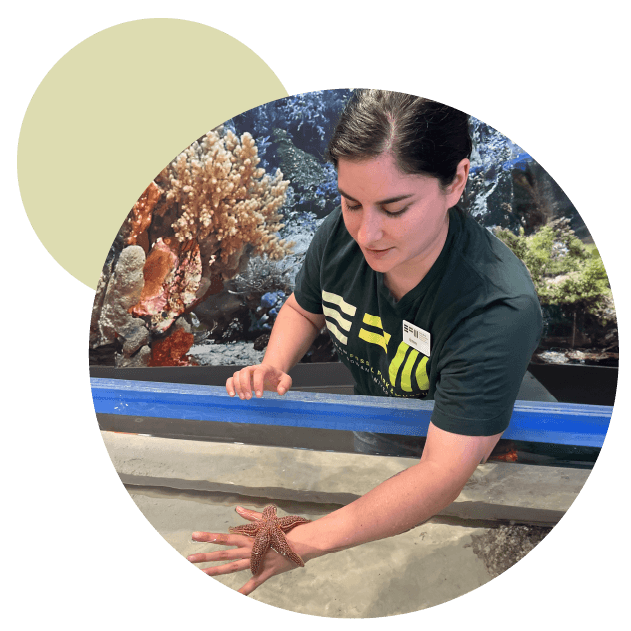 Meet Biologist Brittney at Critter Cove