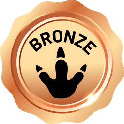 BRONZE badge